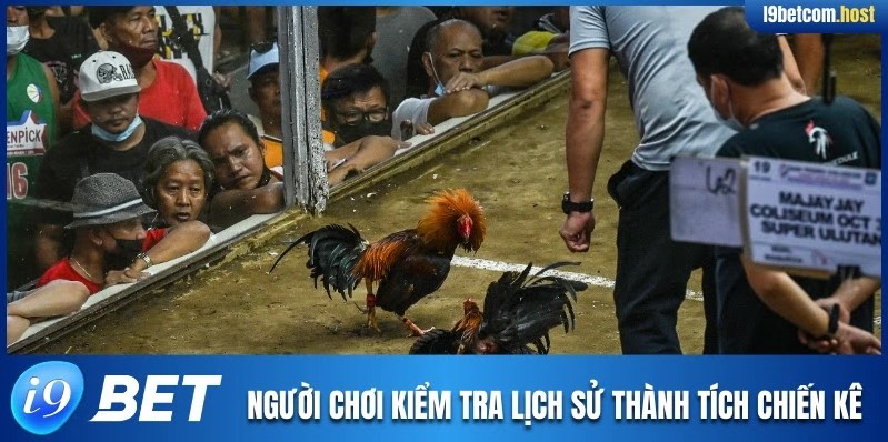 Người chơi kiểm tra lịch sử thành tích chiến kê 